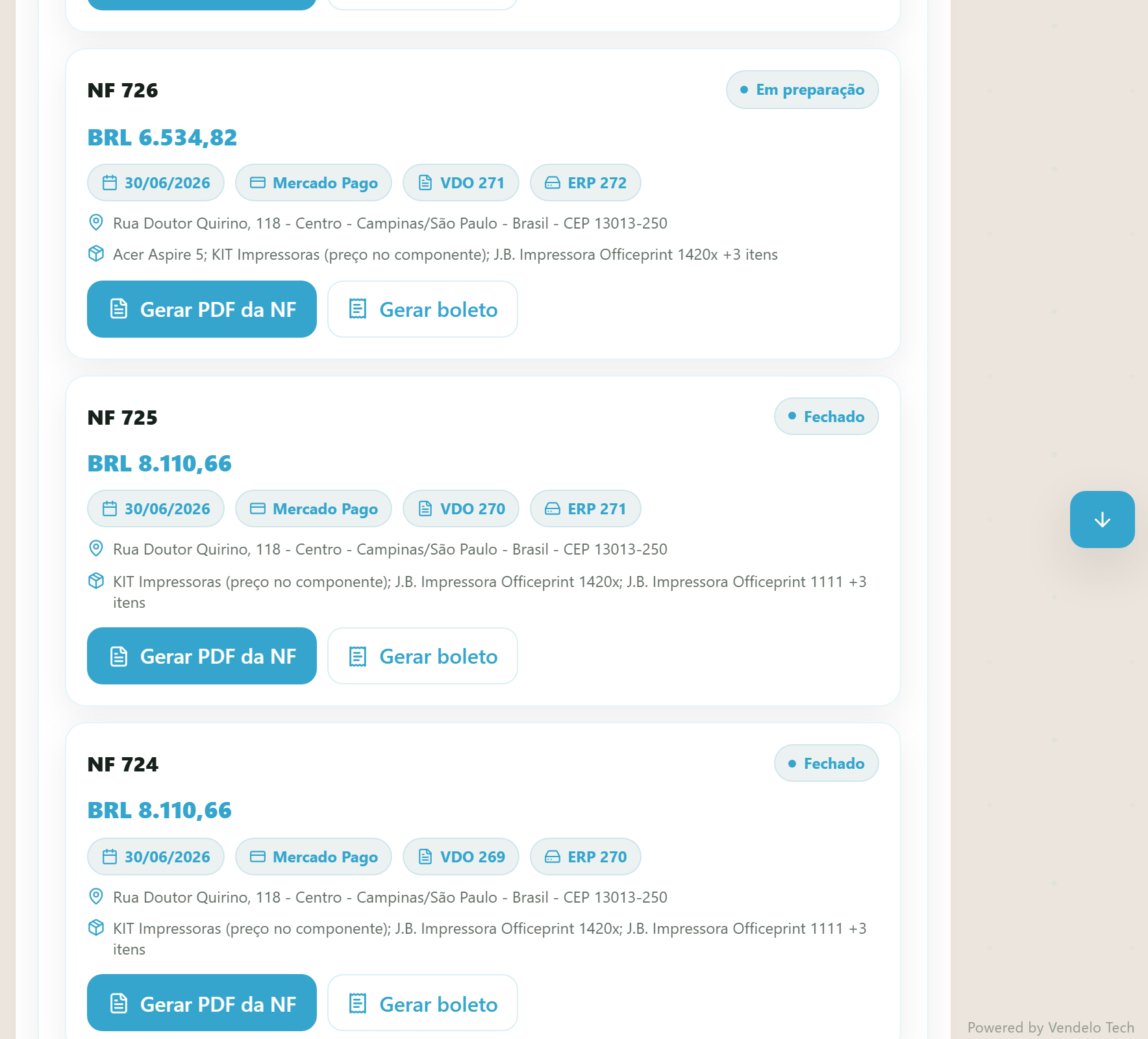 Lista de notas fiscais do cliente — cards com número da NF, situação, valor, datas, endereço de entrega, resumo dos itens e os botões de PDF e boleto (desktop)