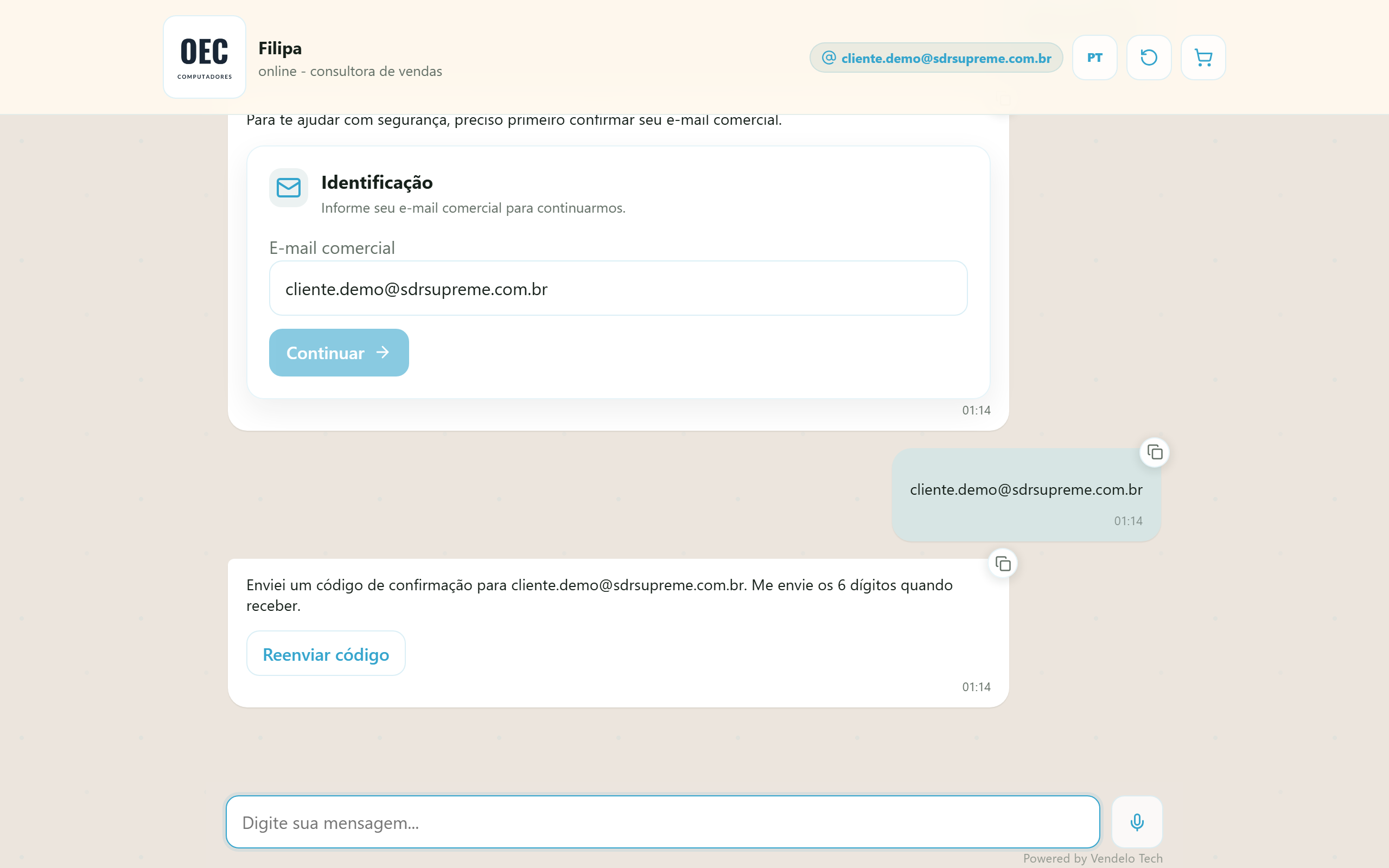 O código de verificação chegou na caixa de entrada e é digitado no chat; formato e validade vêm da configuração de envio (desktop)